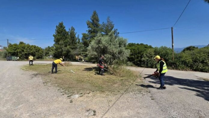 Περιφέρεια Αττικής: Παρεμβάσεις στη Δ.Ε. Ανθηδόνας από τον Δήμο Χαλκιδέων
