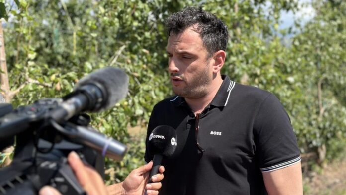 Επιτόπια Επίσκεψη Δημάρχου Τυρνάβου στις Καλλιέργειες που Χτυπήθηκαν από Χαλάζι