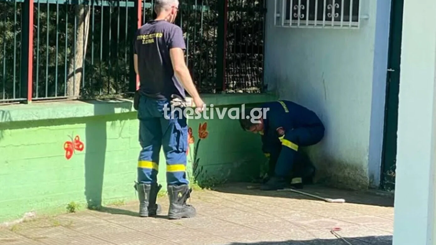 Πανικός από την εμφάνιση φιδιών σε νηπιαγωγείο στις Συκιές Θεσσαλονίκης – Γονείς ανησυχούν να στείλουν τα παιδιά σχολείο