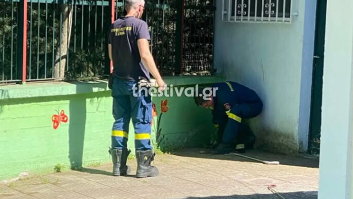 Πανικός από την εμφάνιση φιδιών σε νηπιαγωγείο στις Συκιές Θεσσαλονίκης – Γονείς ανησυχούν να στείλουν τα παιδιά σχολείο