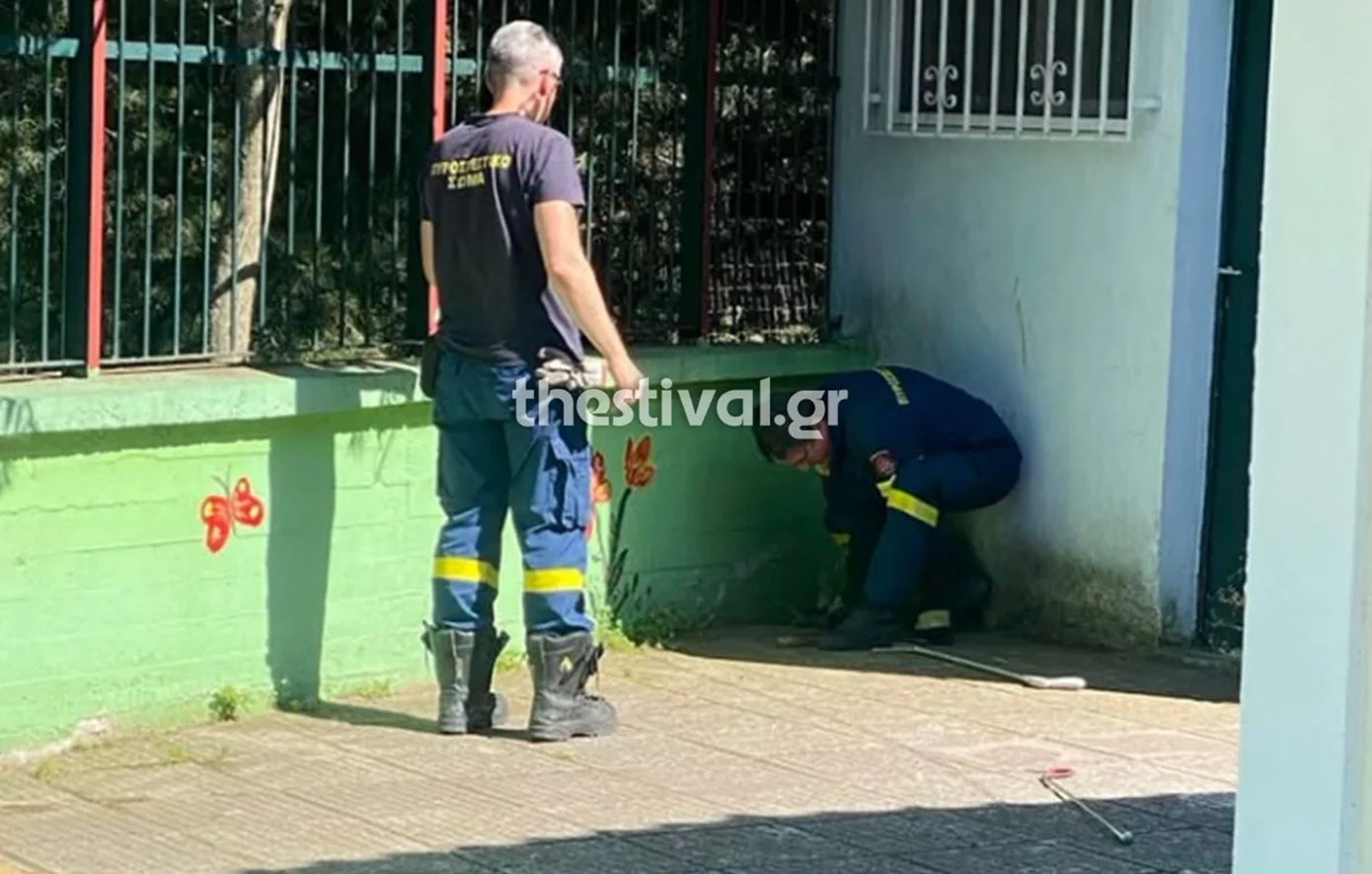 Πανικός από την εμφάνιση φιδιών σε νηπιαγωγείο στις Συκιές Θεσσαλονίκης – Γονείς ανησυχούν να στείλουν τα παιδιά σχολείο