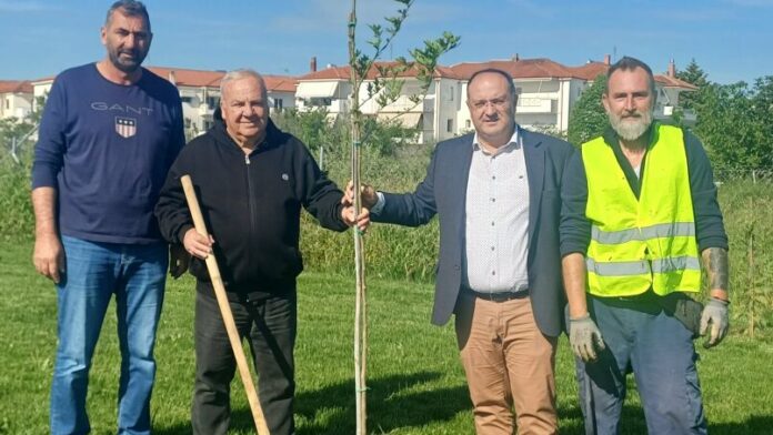 Φύτευση διακοσμητικών δέντρων στο καινούργιο Γηροκομείο Κιλκίς
