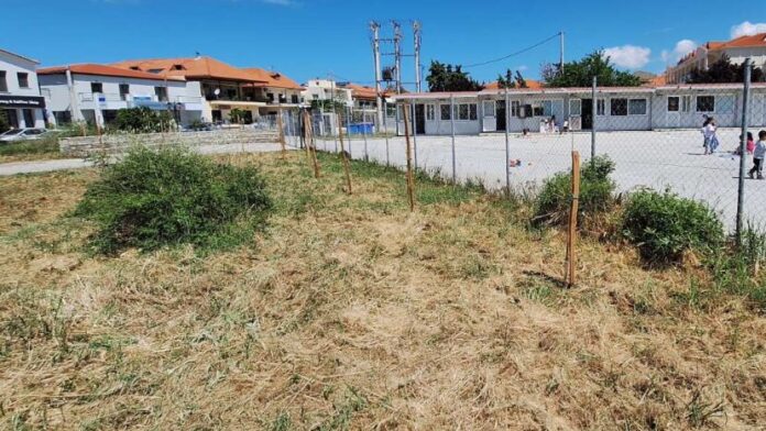 Φυτεύσεις δέντρων στη Λήμνο στο πλαίσιο παγκόσμιας οικολογικής δράσης