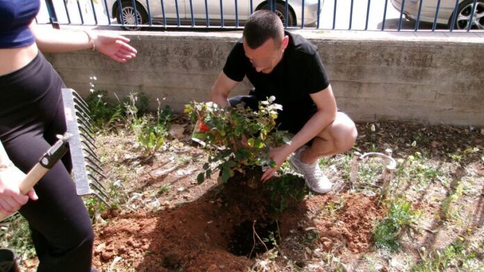 Επιτυχής η τρίτη πρωτοβουλία φύτευσης «Act Green» στο Μαρούσι