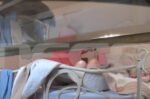 Σοκ προκαλεί το βίντεο ντοκουμέντο με την κακοποίηση της 84χρονης στη Χίο από τη Βουλγάρα – «Γιατί με χτυπάς; δεν έκανα τίποτα»