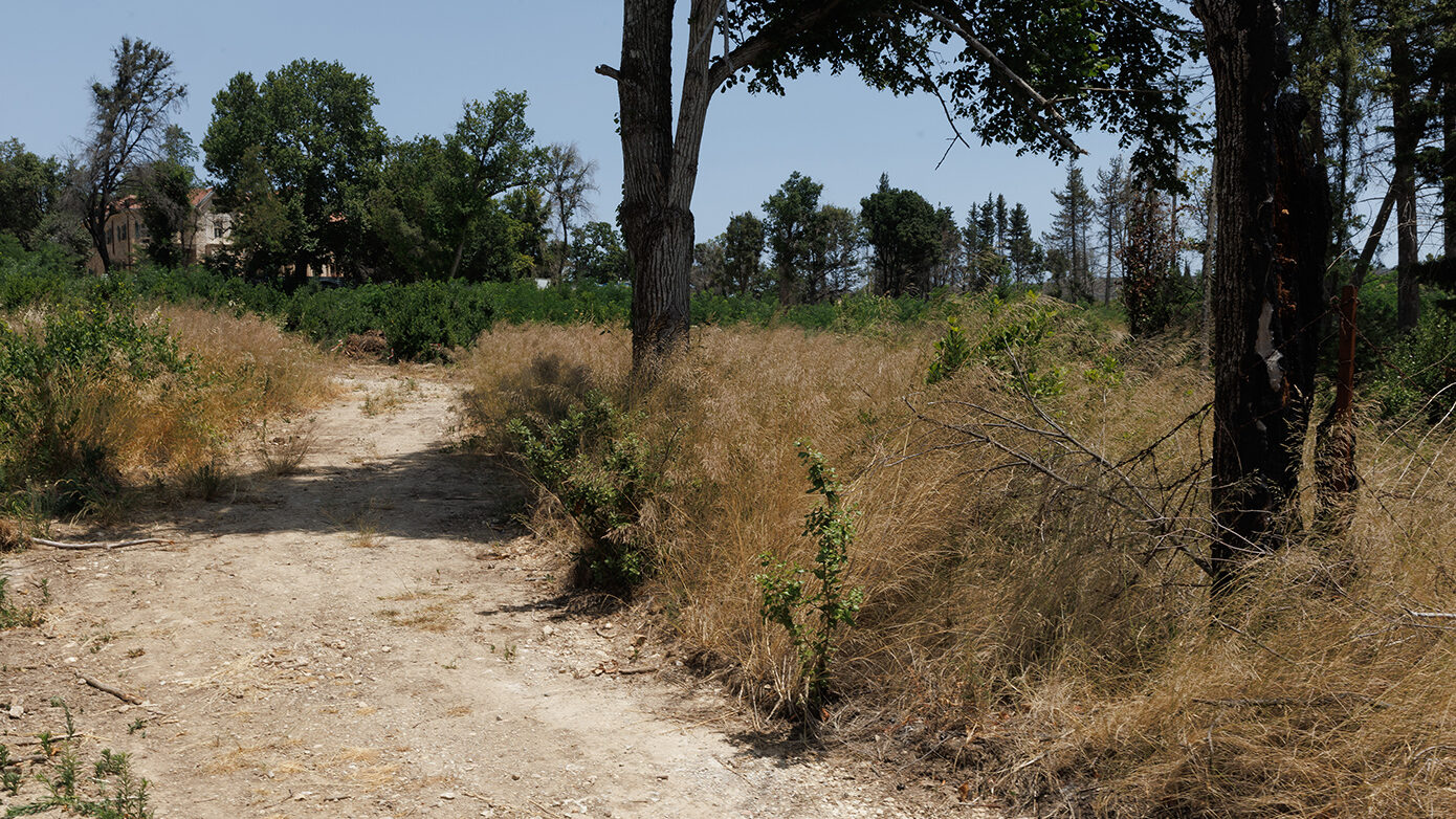 Μάχη με το χρόνο για καθαρισμό οικοπέδων – Τι πρέπει να γνωρίζουν οι ιδιοκτήτες