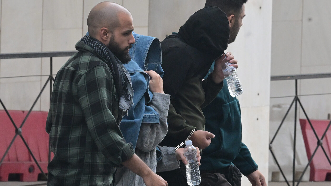 ΟΠΕΚΕΠΕ: «Καταγράφηκαν ελαιόδεντρα στους πρόποδες του Βιτσίου, σε υψόμετρο 1.100 μέτρων»