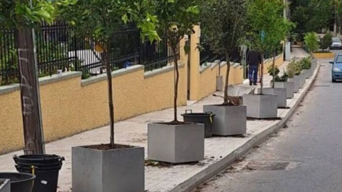 Φρέσκια δενδροφύτευση στην οδό Βρυούλων Πεύκης