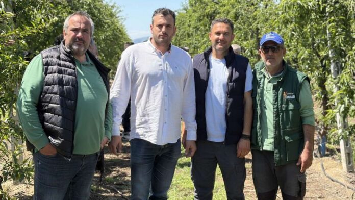 Φρέσκες αυτοψίες και συλλογή δειγμάτων για τις ζημιές στις καλλιέργειες του Τυρνάβου