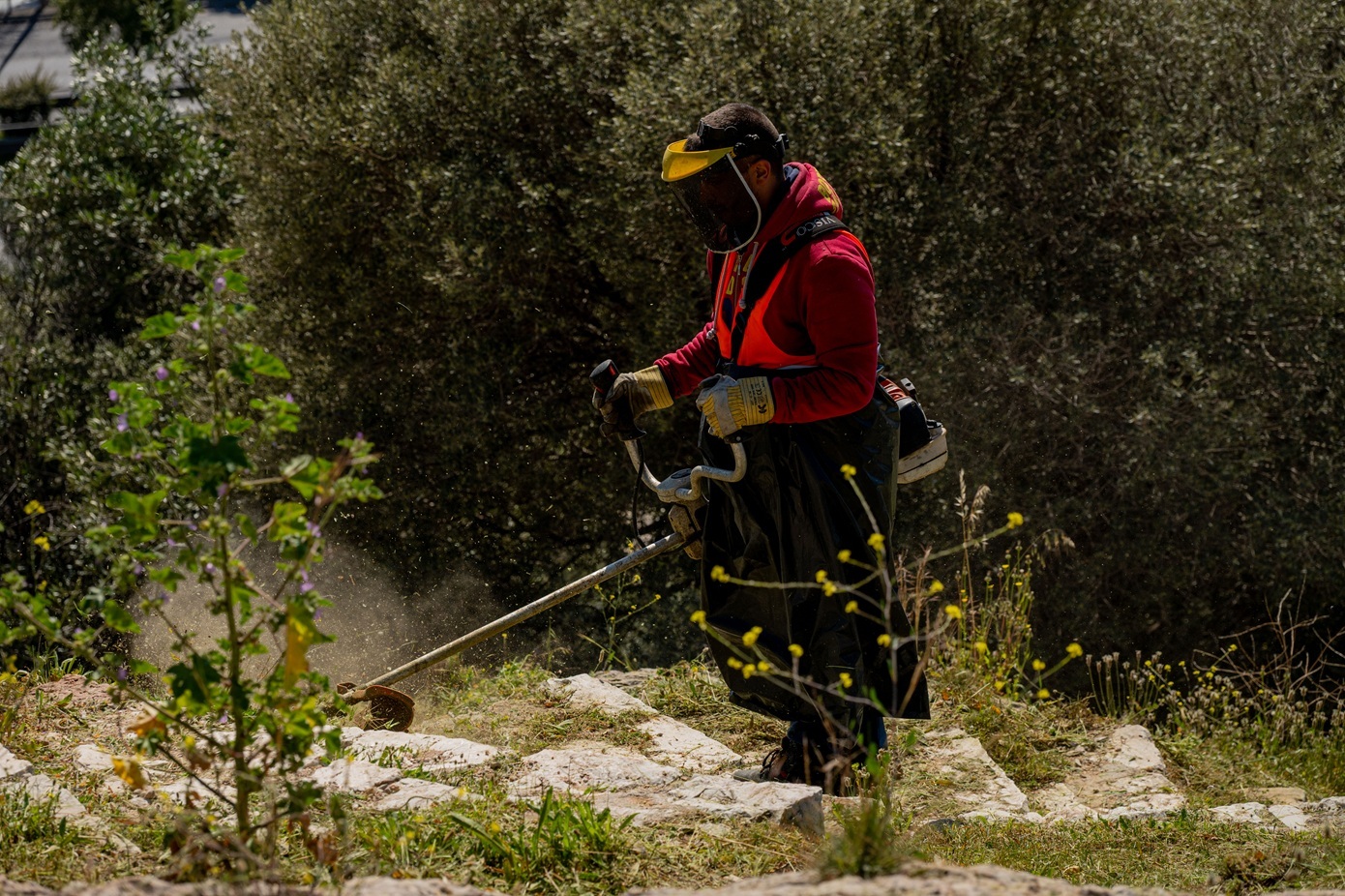 Καθαρισμός οικοπέδων: Νέα προθεσμία έως και τις 22 Ιουνίου – Τα πρόστιμα και όσα πρέπει να γνωρίζετε
