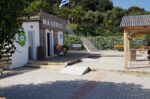 Αυτοπυροβολισμός 43χρονης στο Σκοπευτήριο Μαλεβιζίου: Δύο συλλήψεις, «Το έχει προσχεδιάσει» λέει ο εκπαιδευτής της