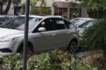 Κυκλοφοριακό πρόβλημα στη Λένορμαν μετά από πτώση κλαδιών στα καλώδια του τρόλεϊ