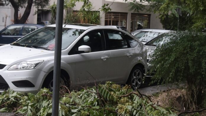 Κυκλοφοριακό πρόβλημα στη Λένορμαν μετά από πτώση κλαδιών στα καλώδια του τρόλεϊ