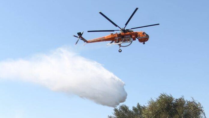 Εύβοια: Υπό μερικό έλεγχο η πυρκαγιά σε δασική έκταση στο Σπαθάρι
