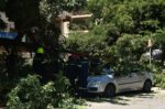 Μιχαλακοπούλου: Άνεμοι έριξαν δέντρο που καταπλάκωσε όχημα – Απεγκλωβίστηκε ο οδηγός – Ριπές 124χλμ/ώρα