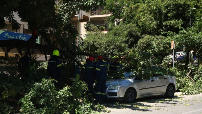 Μιχαλακοπούλου: Άνεμοι έριξαν δέντρο που καταπλάκωσε όχημα – Απεγκλωβίστηκε ο οδηγός – Ριπές 124χλμ/ώρα