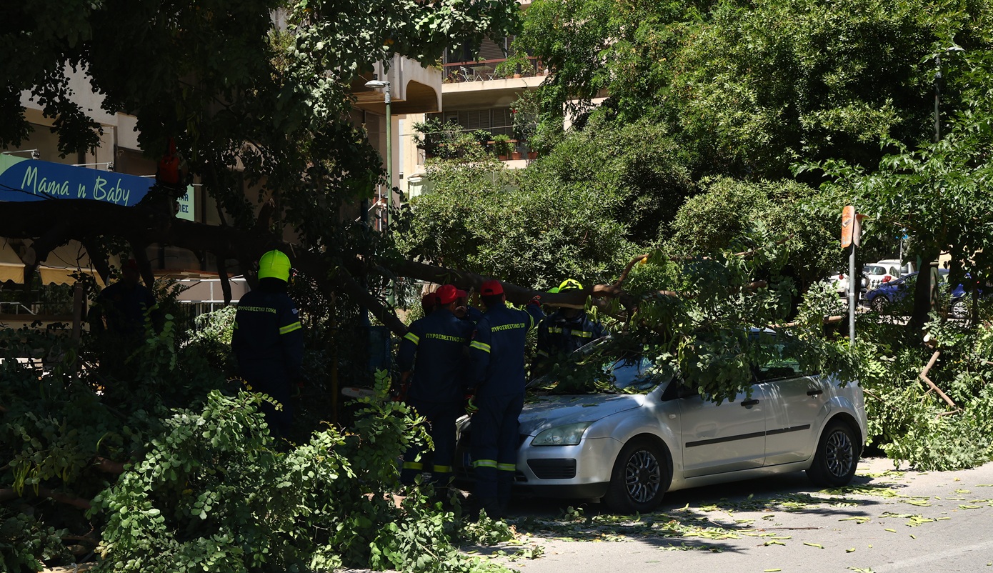 Μιχαλακοπούλου: Άνεμοι έριξαν δέντρο που καταπλάκωσε όχημα – Απεγκλωβίστηκε ο οδηγός – Ριπές 124χλμ/ώρα
