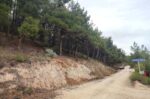Ολοκληρώθηκε το Πρόγραμμα «AntiNERO IV» στον Δήμο Εμμανουήλ Παππά