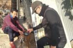 Έλεγχοι της Δημοτικής Αστυνομίας Νάουσας για συμμόρφωση με τη νομοθεσία κατοικίδιων ζώων