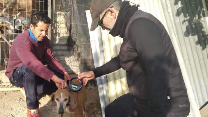 Έλεγχοι της Δημοτικής Αστυνομίας Νάουσας για συμμόρφωση με τη νομοθεσία κατοικίδιων ζώων