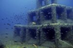 Προχωρά η εκπόνηση μελετών για τη δημιουργία υποβρύχιου αξιοθέατου στο Δήμο Δελφών