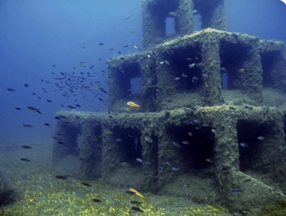 Προχωρά η εκπόνηση μελετών για τη δημιουργία υποβρύχιου αξιοθέατου στο Δήμο Δελφών