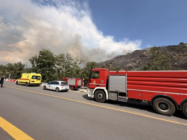 Δ. Νεάπολης-Συκεών: ‘Αμεση η κατάσβεση πυρκαγιάς στο Φίλυρο