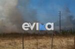 Φωτιά στην Εύβοια, στην περιοχή Σπαθάρι – Σηκώθηκαν εναέρια μέσα