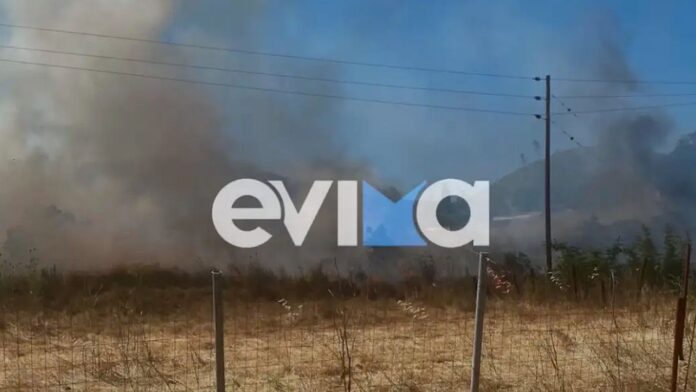 Φωτιά στην Εύβοια, στην περιοχή Σπαθάρι – Σηκώθηκαν εναέρια μέσα