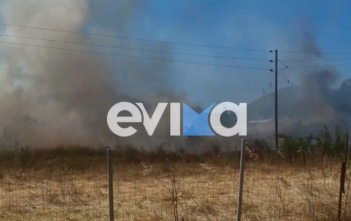 Φωτιά στην Εύβοια, στην περιοχή Σπαθάρι – Σηκώθηκαν εναέρια μέσα