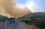 Φωτιά στο Ακραίφνιο Βοιωτίας: Έκλεισε η Εθνική Οδός