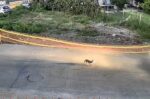 Γαστούνη: Αναζητείται οδηγός που πάτησε και σκότωσε αδέσποτο σκυλί – Σκληρές εικόνες