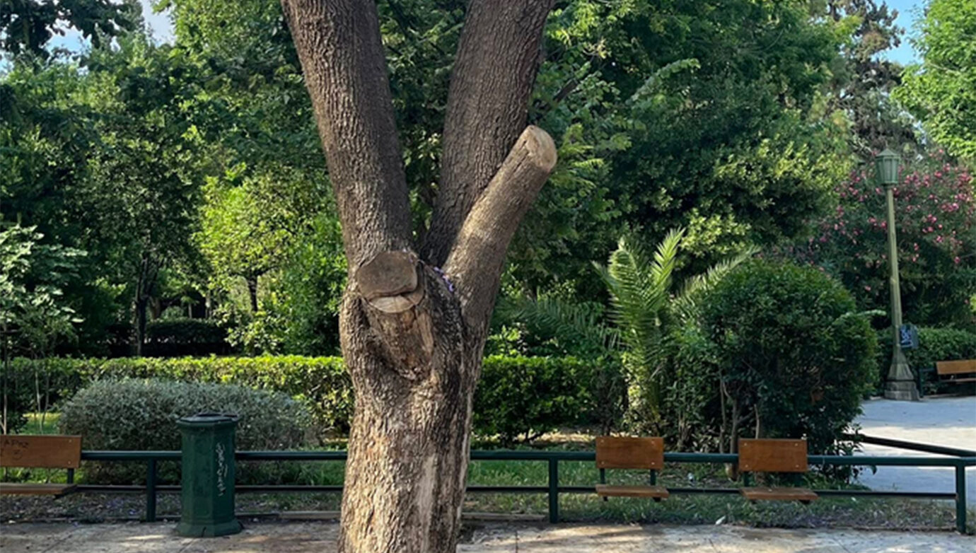 Καταδρομική ομοφοβική επίθεση νταήδων στο Ζάππειο – Τους έπιασαν επ’ αυτοφώρω μετά από καταγγελία