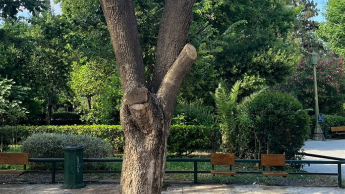 Καταδρομική ομοφοβική επίθεση νταήδων στο Ζάππειο – Τους έπιασαν επ’ αυτοφώρω μετά από καταγγελία