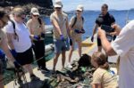 Δράσεις καθαρισμού ακτών και βυθού στη Σαντορίνη