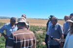 Αυτοψία στελεχών του ΕΛΓΑ στις πληγείσες από το χαλάζι περιοχές των Φαρσάλων