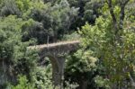 Δήμαρχος Ηγουμενίτσας: αυτοψία στο Μονοπάτι του Αγίου Αθανασίου Πέρδικας