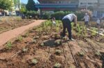 Δ. Αμπελοκήπων-Μενεμένης: Εθελοντική δενδροφύτευση και ανάπλαση νέου πάρκου