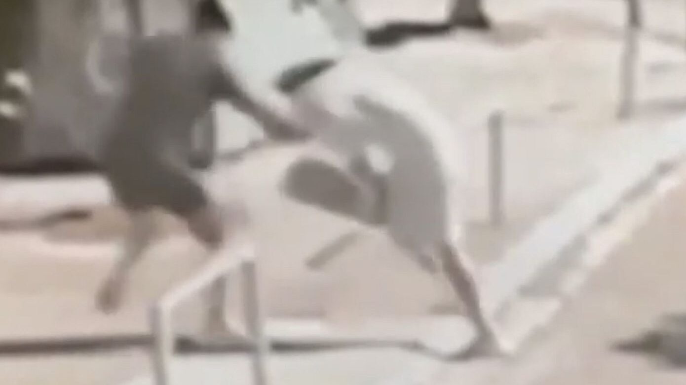 Ανήλικοι ληστές στην Αττική έκλεβαν ηλικιωμένους σε σταθμούς του ΗΣΑΠ – Βίντεο ντοκουμέντο
