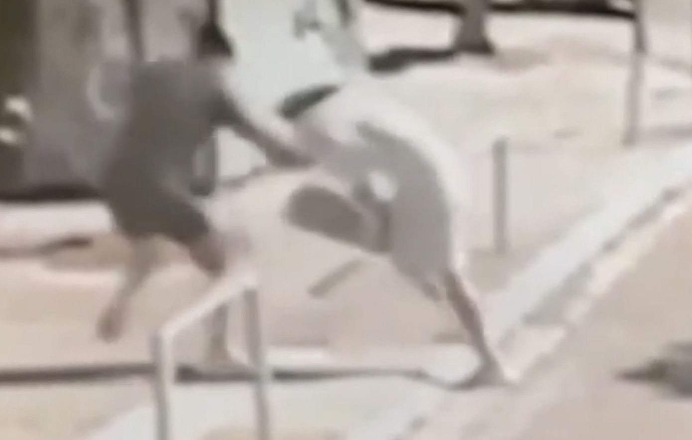 Ανήλικοι ληστές στην Αττική έκλεβαν ηλικιωμένους σε σταθμούς του ΗΣΑΠ – Βίντεο ντοκουμέντο