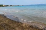 Περιφέρεια Στερεάς Ελλάδας «Θετικά τα αποτελέσματα των μετρήσεων στις παραλίες της Αυλίδας»