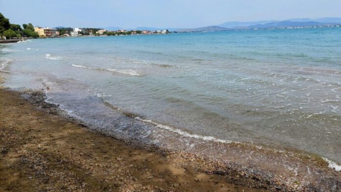 Περιφέρεια Στερεάς Ελλάδας «Θετικά τα αποτελέσματα των μετρήσεων στις παραλίες της Αυλίδας»