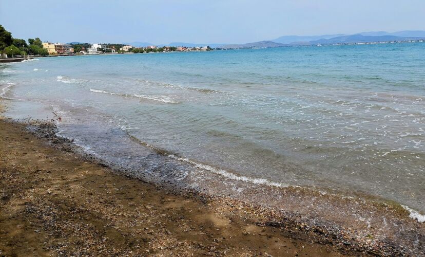 Περιφέρεια Στερεάς Ελλάδας «Θετικά τα αποτελέσματα των μετρήσεων στις παραλίες της Αυλίδας»
