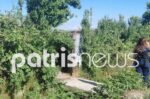 Τραγωδία στη Γαστούνη: Νεκρός 57χρονος με τραύμα στο κεφάλι από κυνηγετικό όπλο – Με τον ίδιο τρόπο είχε φύγει και ο πατέρας του