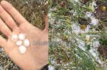 Χαλάζι σε μέγεθος φουντουκιού κατέστρεψε τις δενδροκαλλιέργειες στα Λουτρά Υπάτης