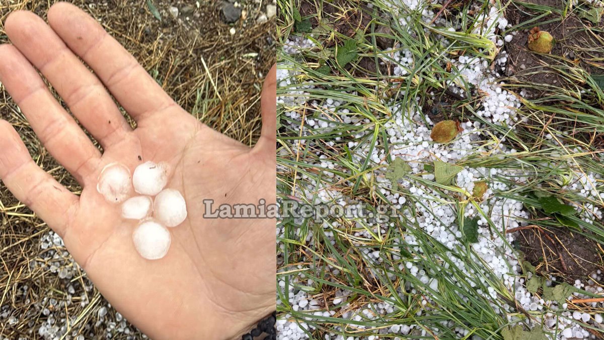 Χαλάζι σε μέγεθος φουντουκιού κατέστρεψε τις δενδροκαλλιέργειες στα Λουτρά Υπάτης