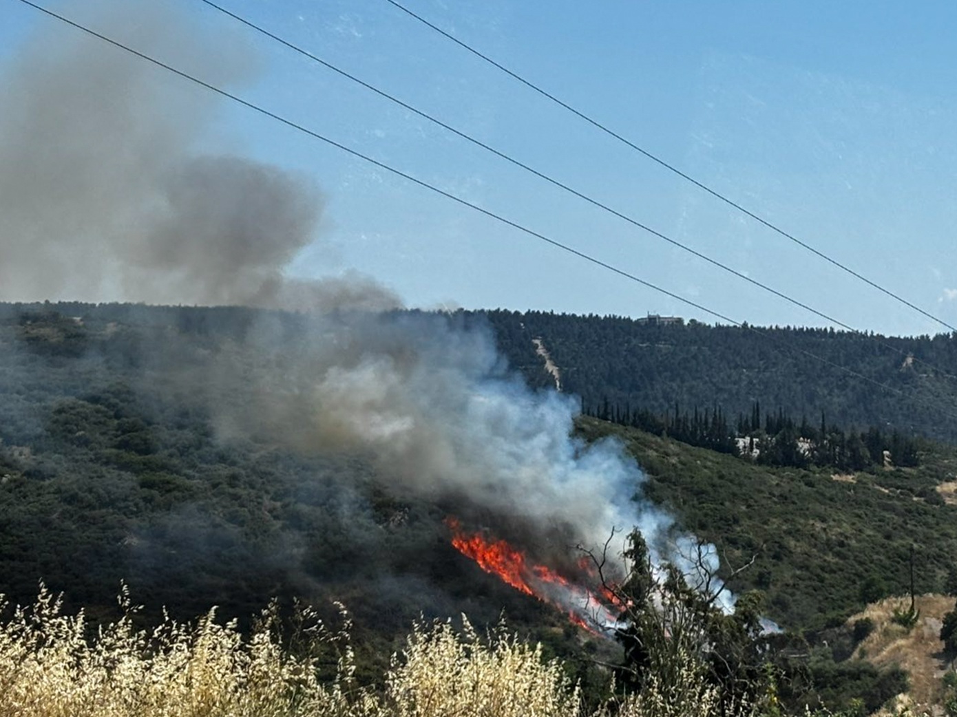 Χανιά: 45χρονη Ουκρανή συνελήφθη για εμπρησμό από πρόθεση στη Χαρωδιά Μουρνιών