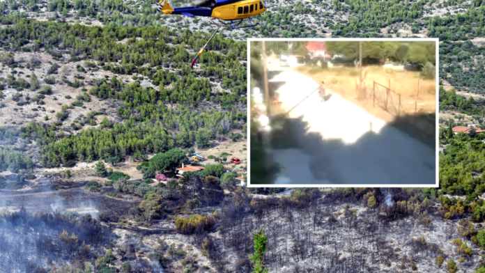 Κορινθία: 57χρονη σκύβει σε οικόπεδο λίγο πριν ξεσπάσει φωτιά στα Ίσθμια, δείχνει βίντεο