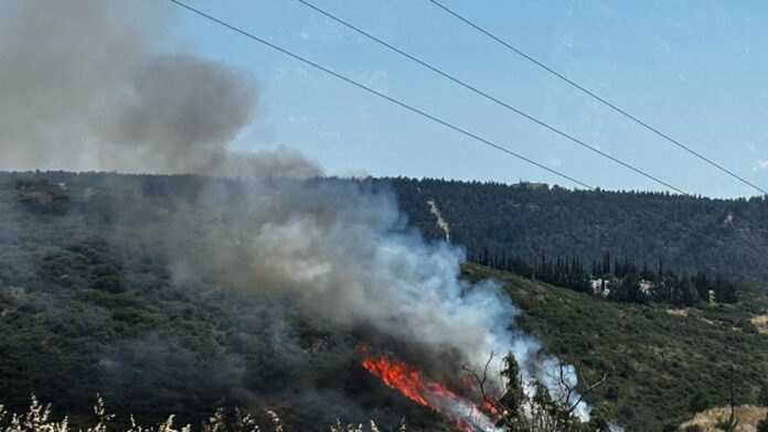Τρεις συλλήψεις στη Θεσσαλονίκη για τη δασική πυρκαγιά στο Φίλυρο