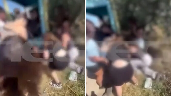 Νέο βίντεο ντοκουμέντο από το άγριο ξύλο μεταξύ κοριτσιών στην Εύβοια – Τι αποκάλυψε η μητέρα μιας εκ των δύο κοριτσιών